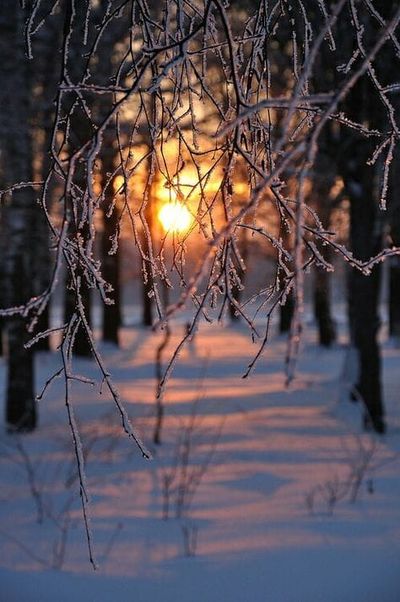 ...Good Morning...