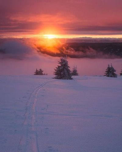 ...Great Morning!!