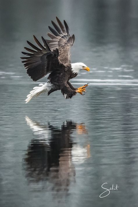 Good Morning- From Creighton's-                                      On October 31, 2023