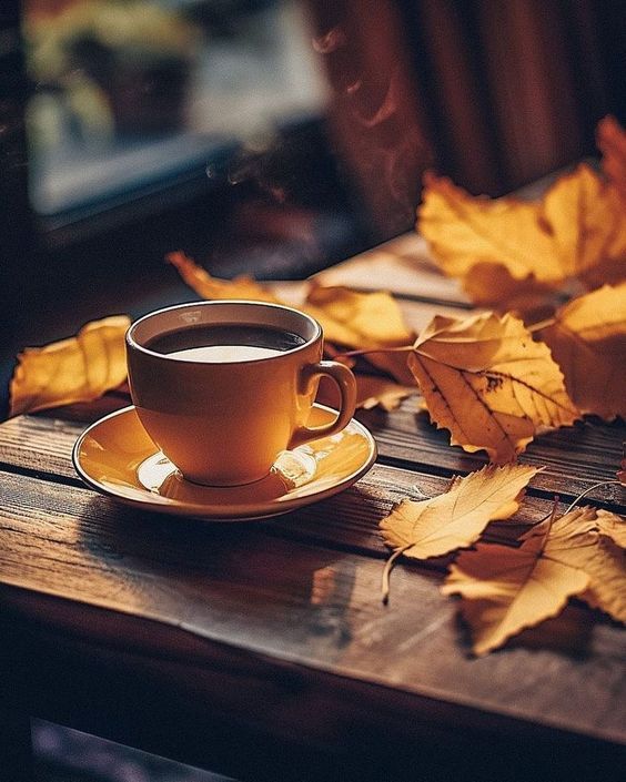 Unwind This Eve With a Strong             
Cup-A-Joe, After A Hard          Day At The Office...