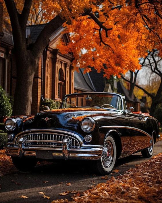 Reminds Me Of An Earlier Time In Our Storied and Breathtaking Past In America...