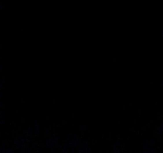 #WoldNetDaily: N.Y. Muslim Rant: Islam Will Invade Every Home, Is Only 'Correct Religion'