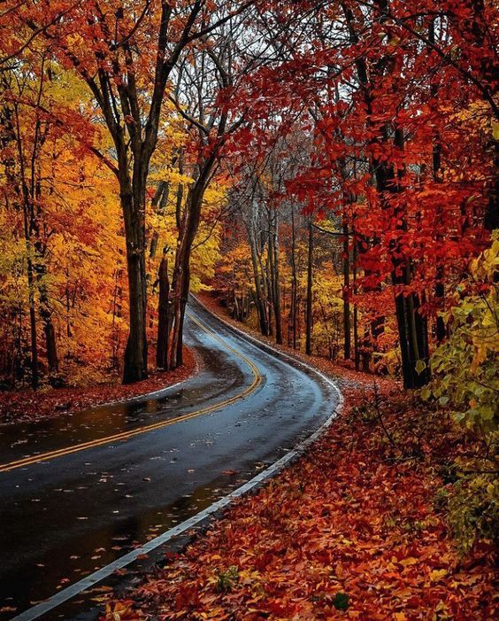 Driving Roads Like This: Exhilarating; Calming, All At The Same Time...