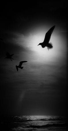 Good Morning, From Creighton's- On Friday, December 1, 2023