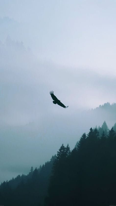 Good Morning, From Creighton's- On Monday, December 18th, 2023