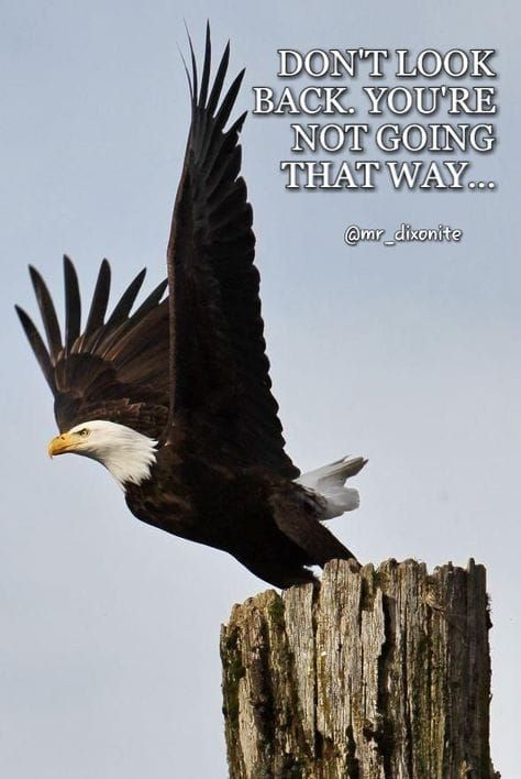 Good Morning, From Creighton's- On Tuesday, December 19th, 2023