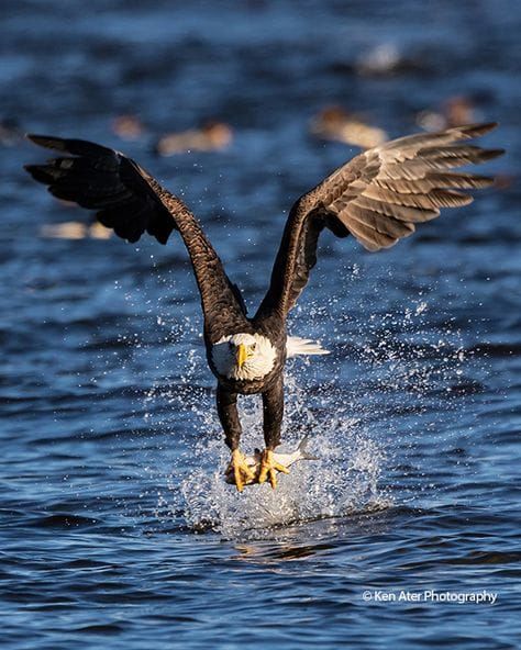 Good Morning, From Creighton's- On Wednesday, December 13th, 2023