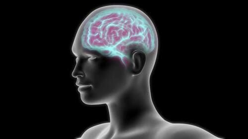 #AmieDahnke Via #TheEpochTimes Via #ZeroHedge: Smoking Shrinks The Brain, And Quitting Doesn’t Restore Size: Study