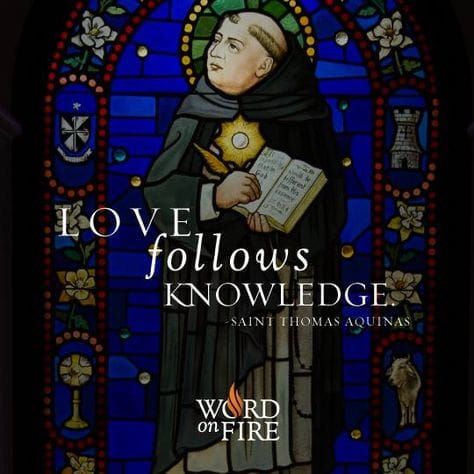 St. Thomas Aquinas (1225-1274) , Doctor Of The Church