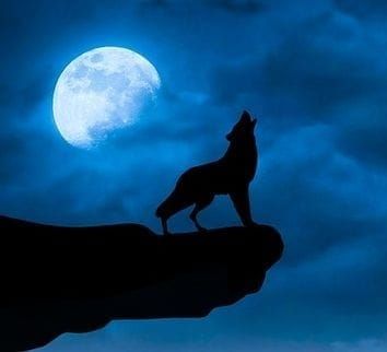 Have A Great Night...