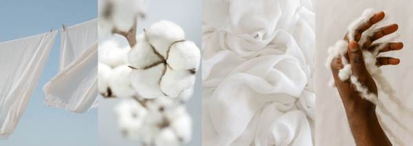 The History of Cotton