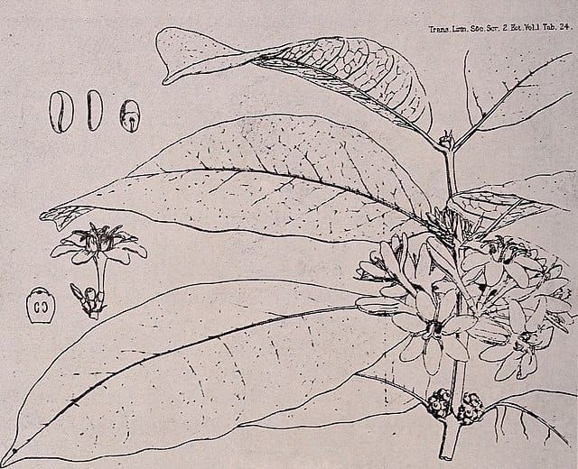 How to guide: Make a hybrid