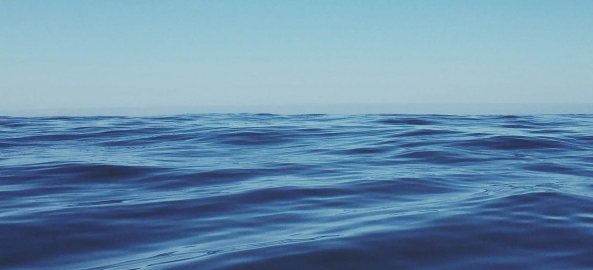 Covenant Relationship #8