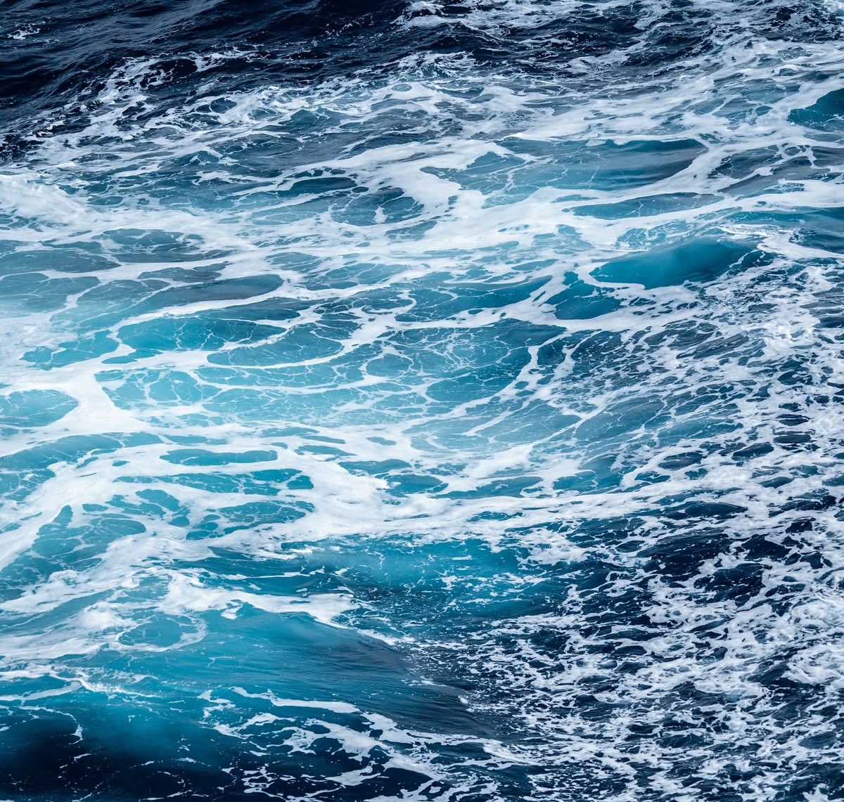 Final “What is Truth?”