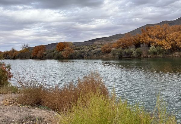 Covenant Relationship #1