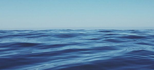 Covenant Relationship #8