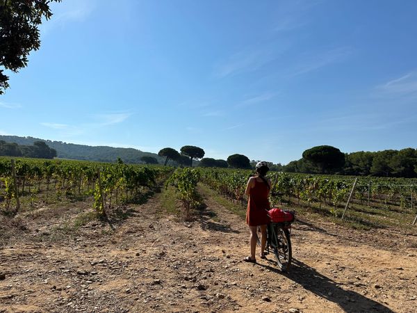 The Secret Side of Provence - Hyères