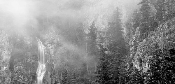 Dark Romanticism and the Aesthetics of Cascadian Black Metal
