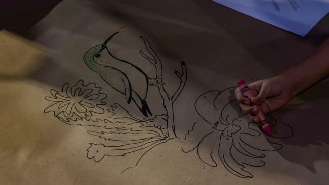 Sur une pancarte en cours de fabrication, on voit une main finir de dessiner un colibri du Yucatan.