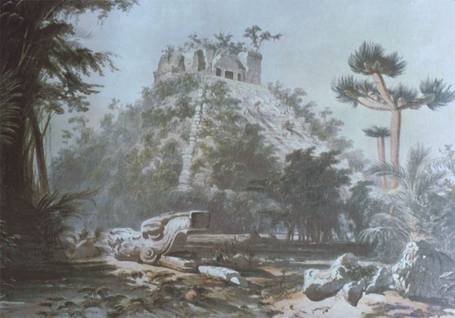 En passant par le Yucatán, avec Carcinonepa