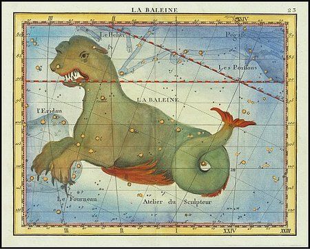 L'Édition du 16 novembre 2024