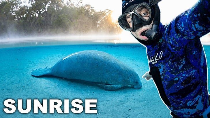 De la Floride à à la Corée en passant par le futur