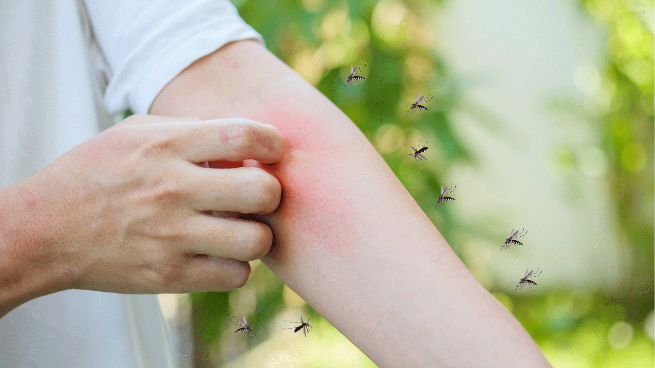 Consulta online para doenças infecciosas