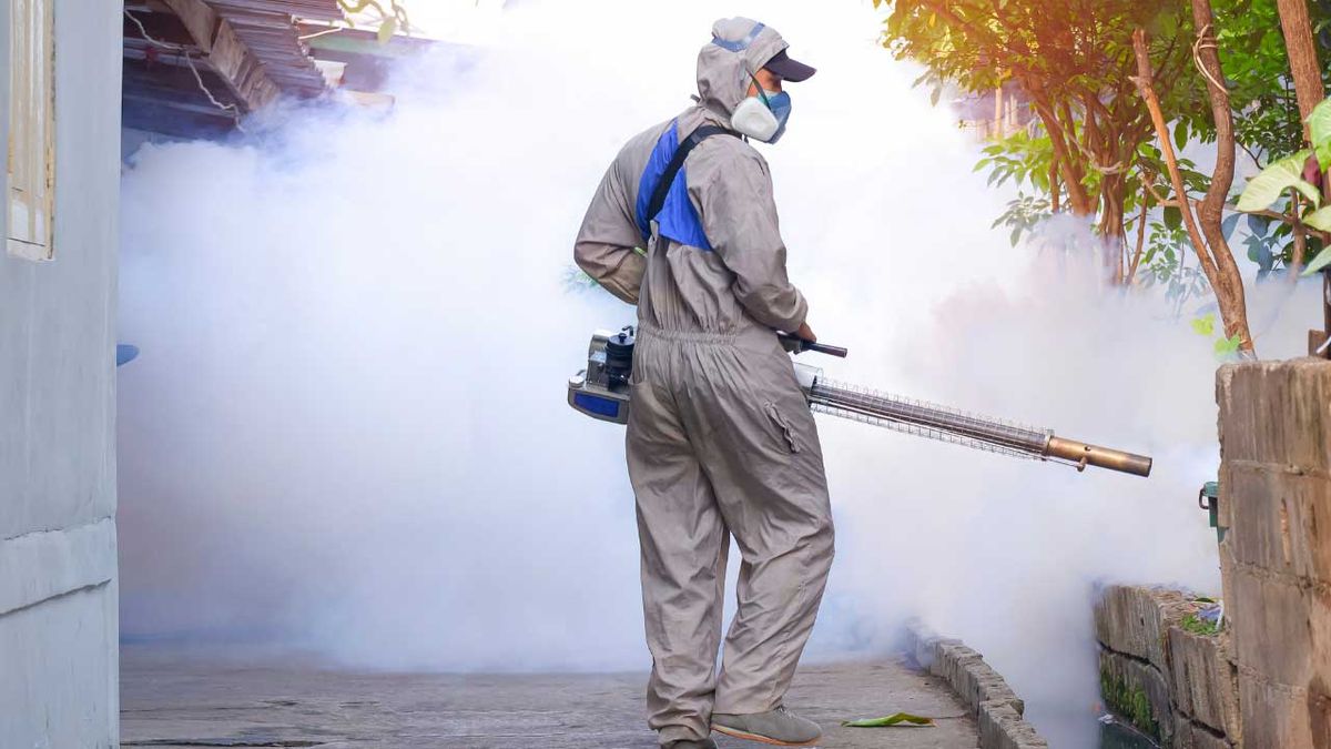 Dengue: mitos e verdades sobre a doença e como se proteger