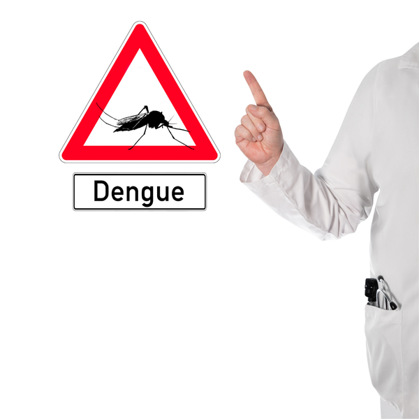Saiba tudo sobre a dengue