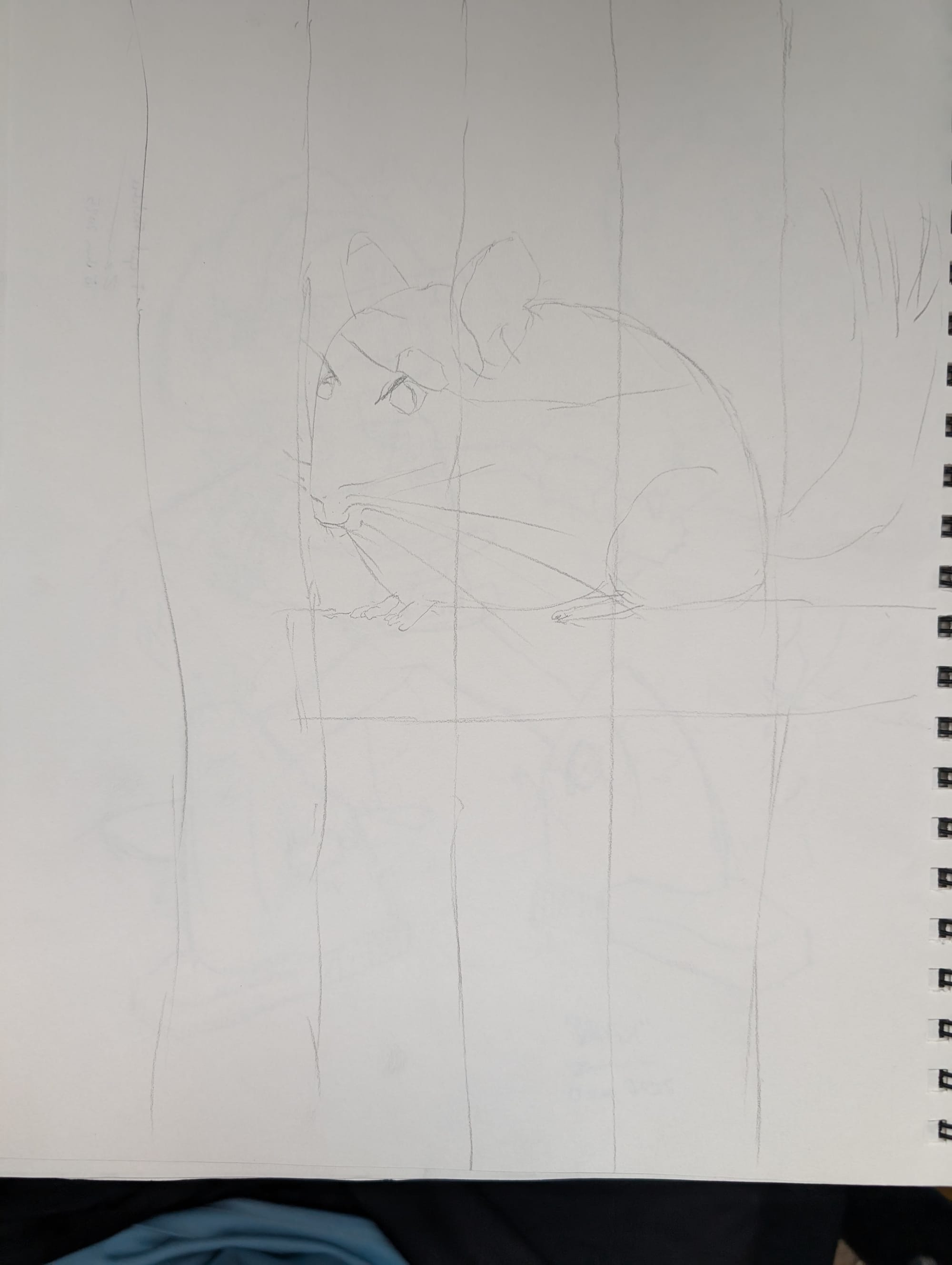 Initial sketch of chinchilla in cage