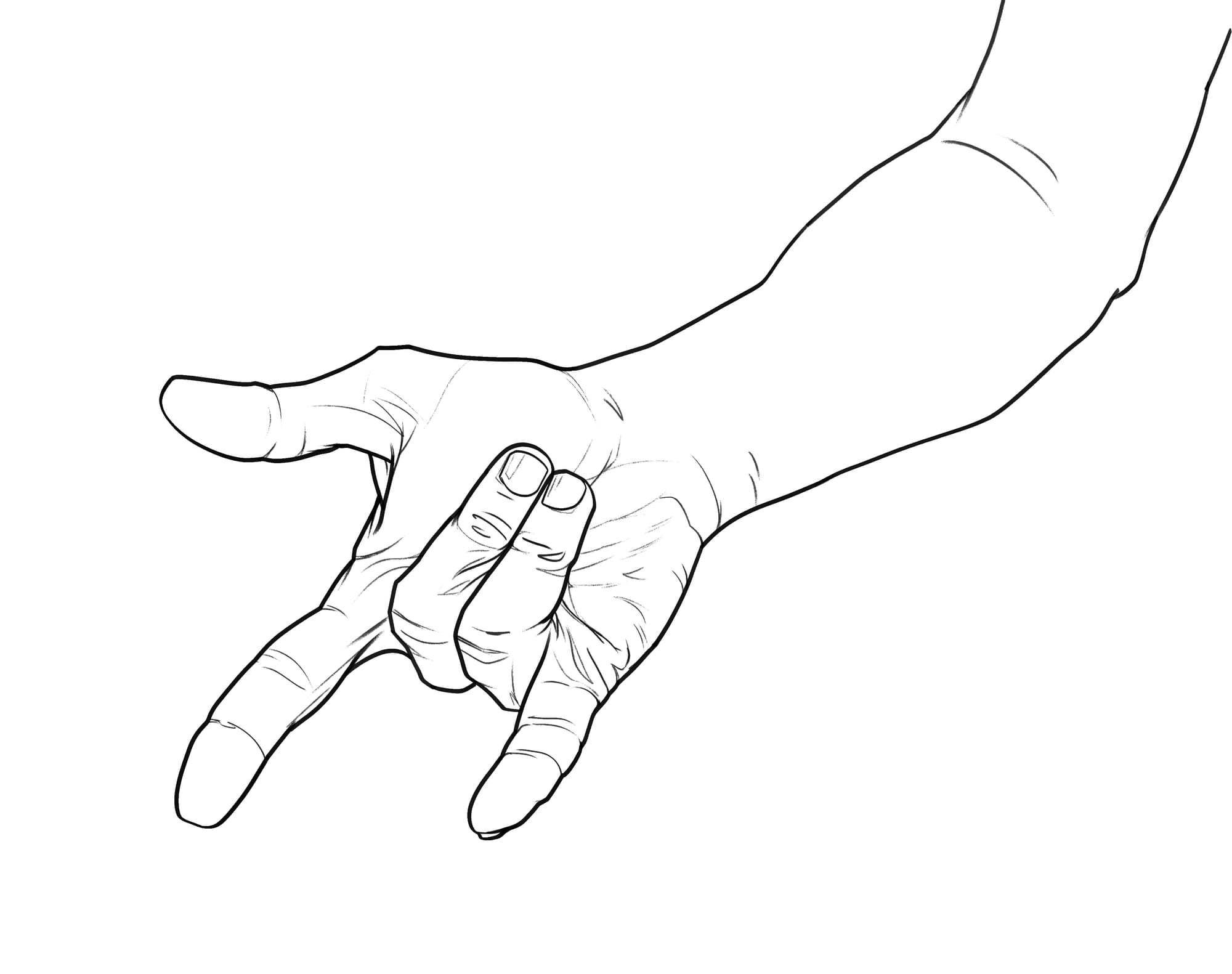 Spider hand clean drawing