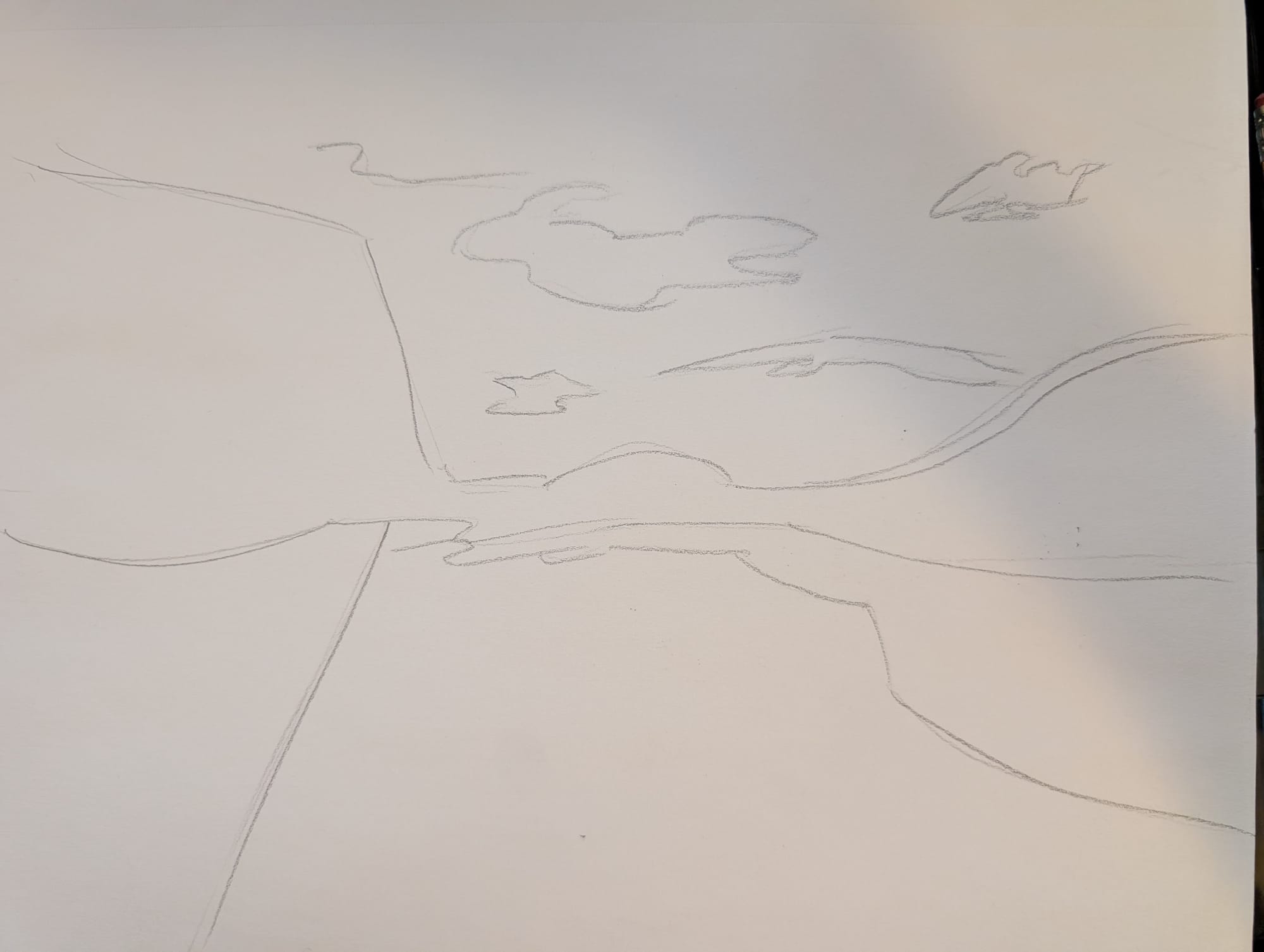 drawing of a landscape simplified