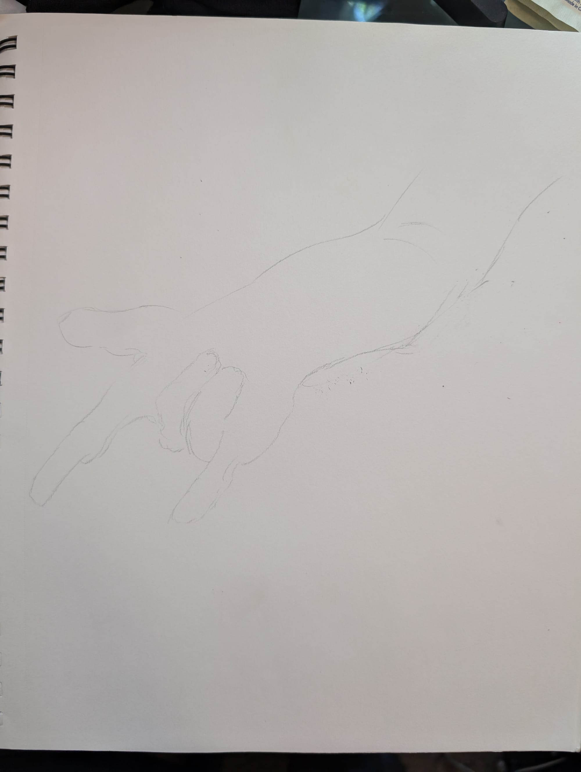 sketch of spider hand