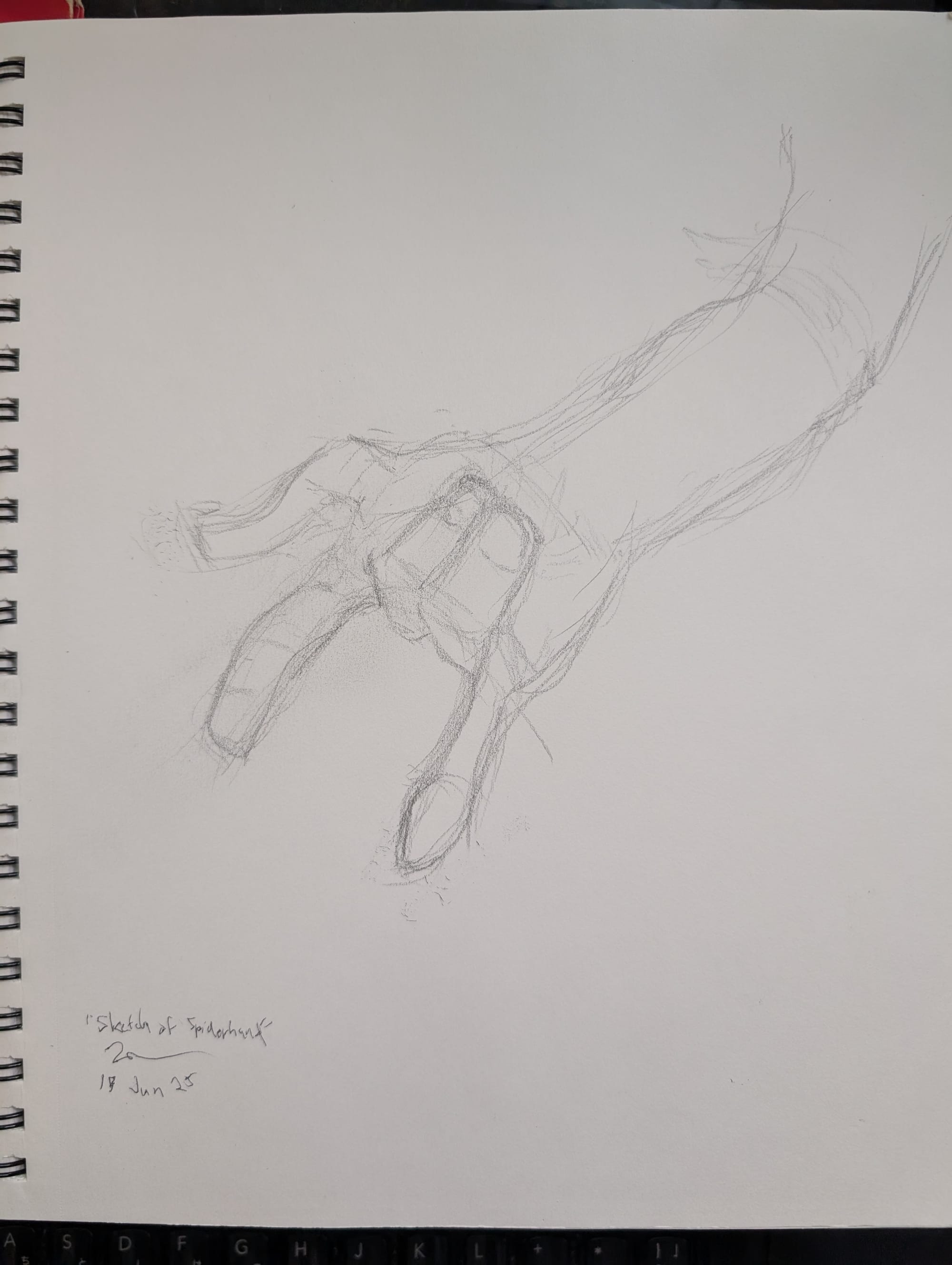 spiderhand sketch