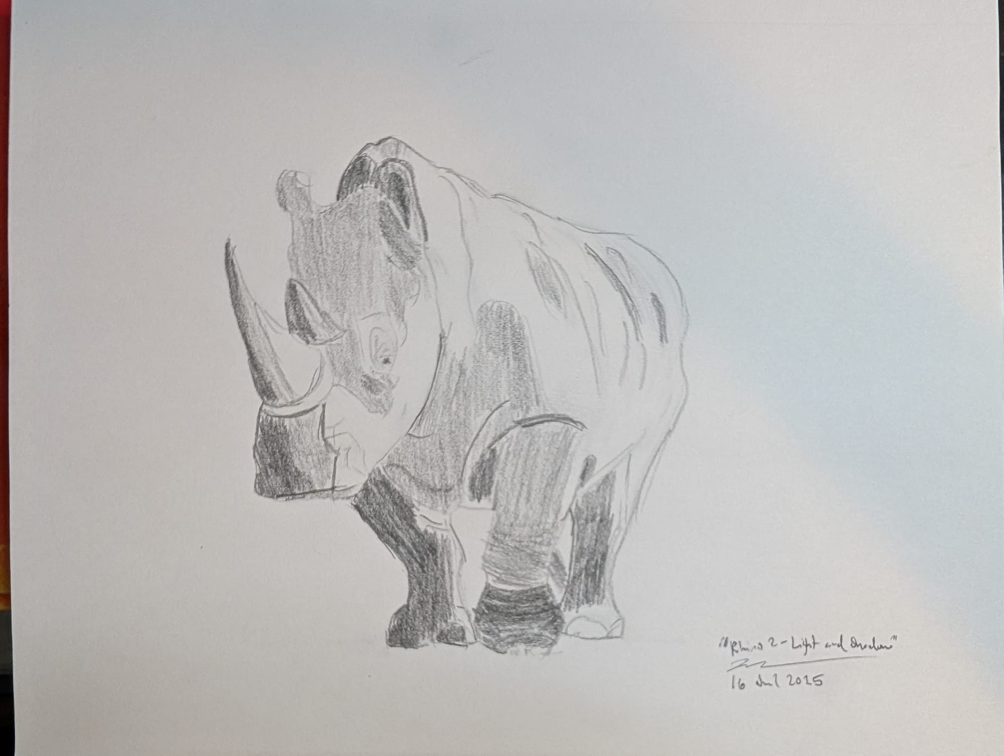 Pencil sketch of a rhino