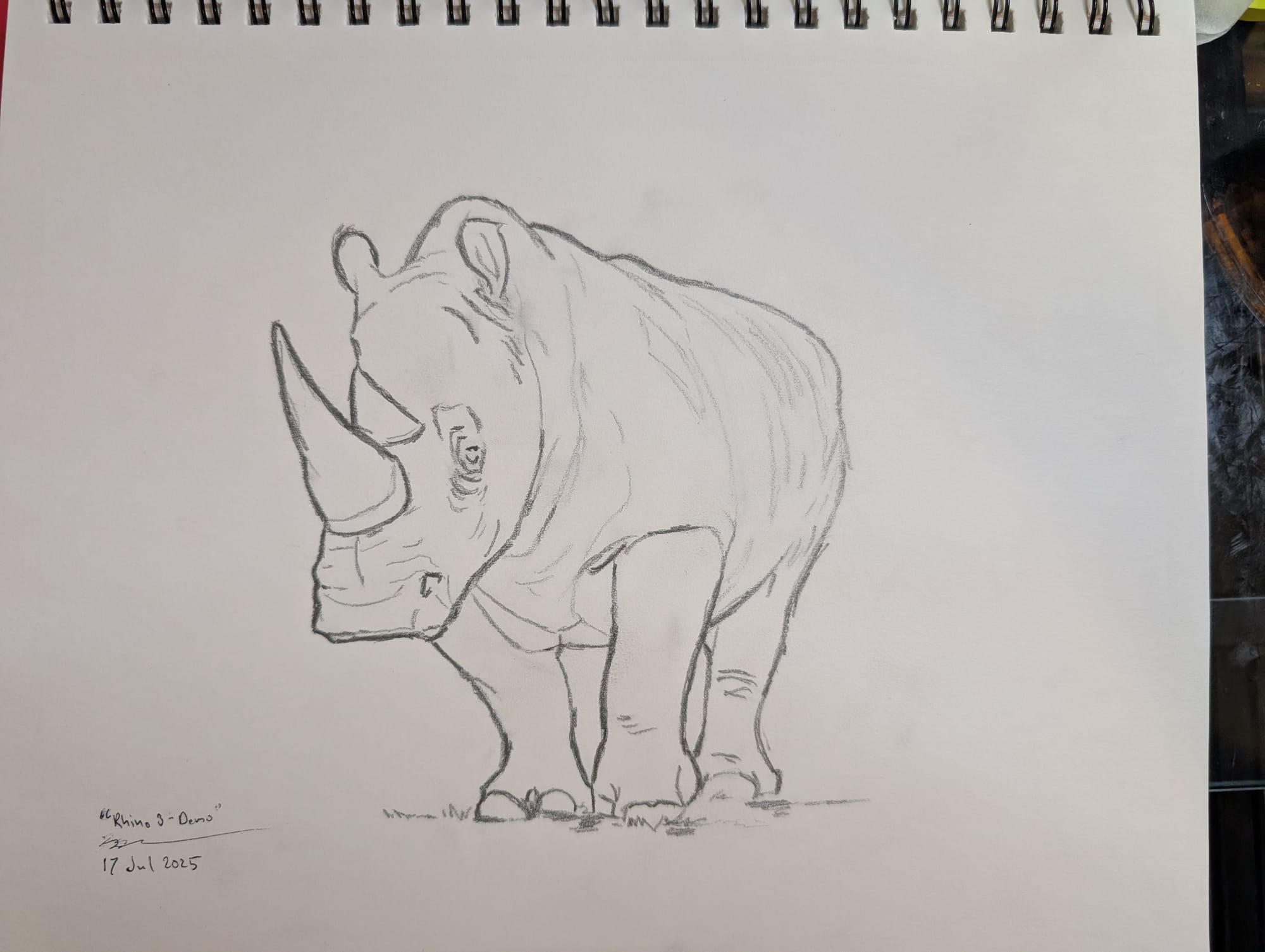 Pencil drawing of a rhino