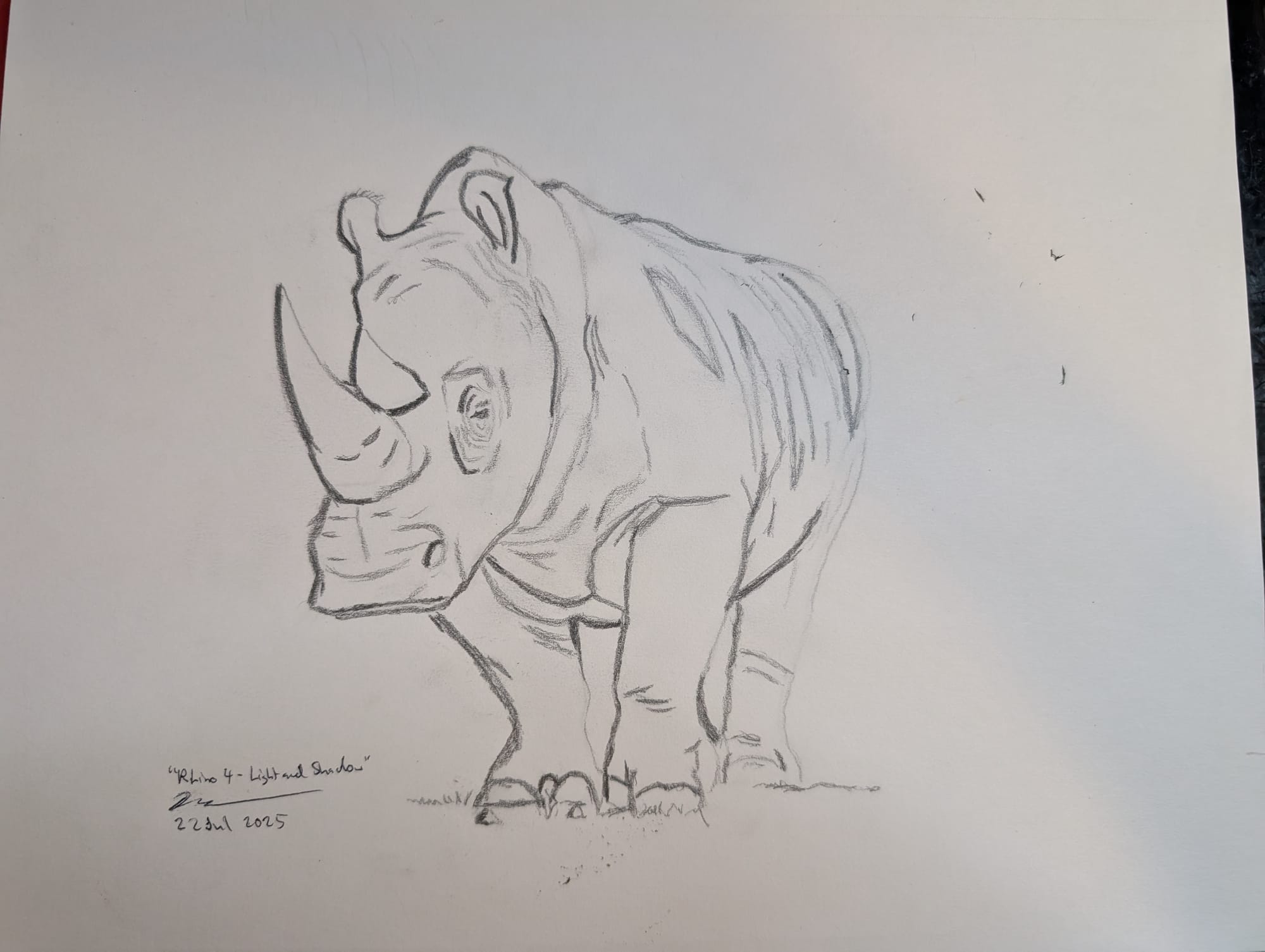 Sketch of a rhino for light and shadow practice