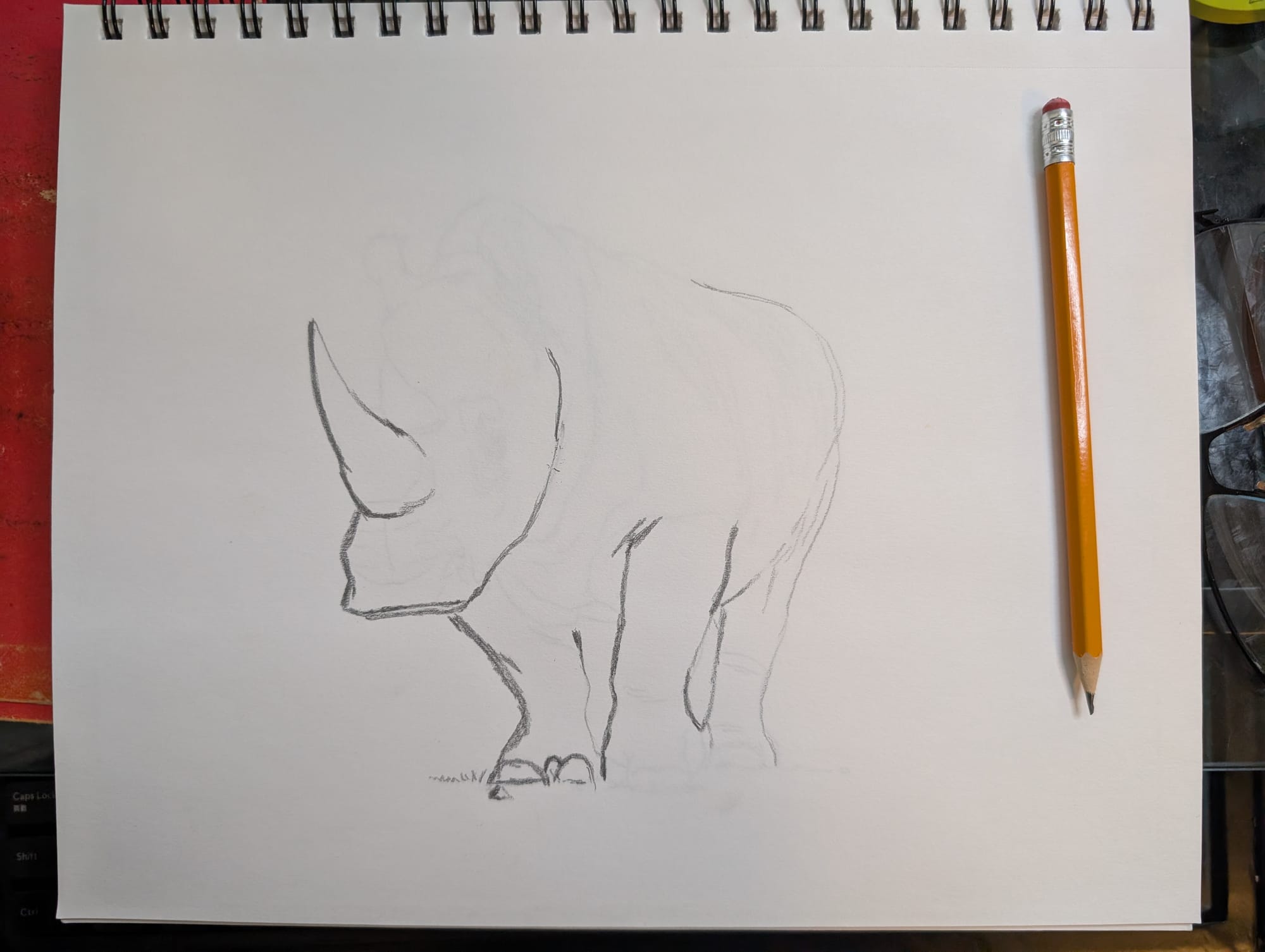 partial sketch of rhino 4