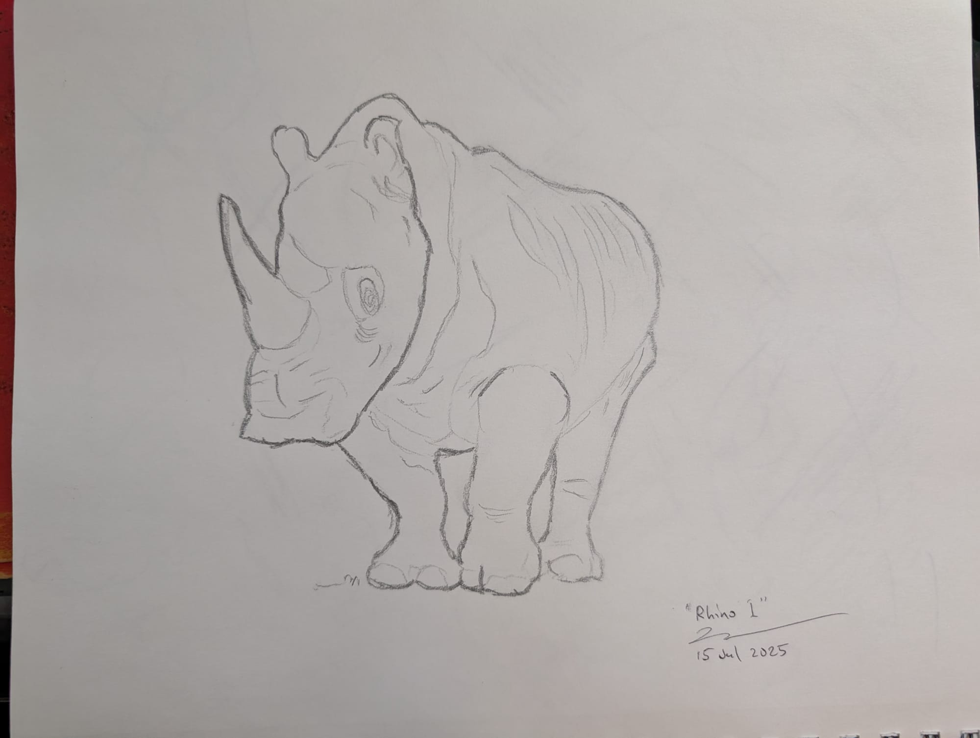 Pencil drawing of a rhino