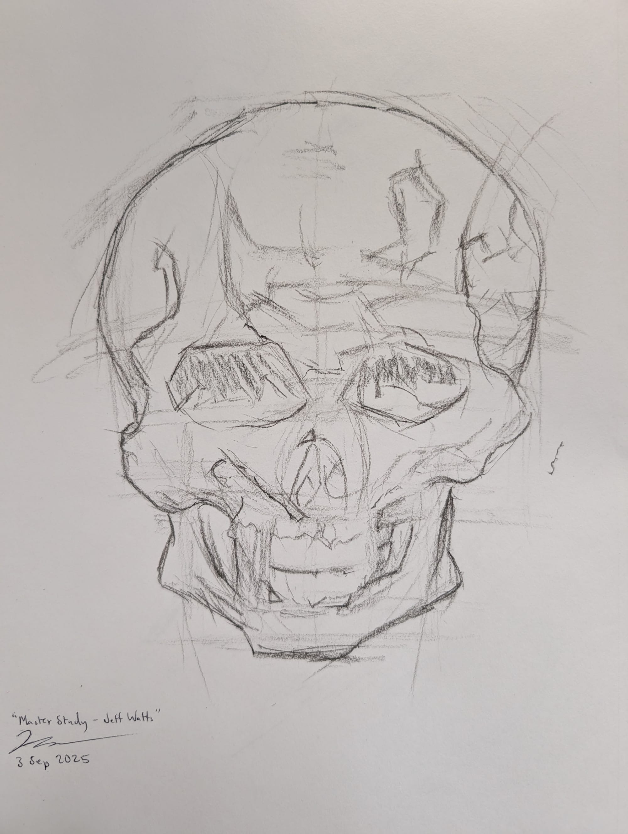 Master studies - Skull