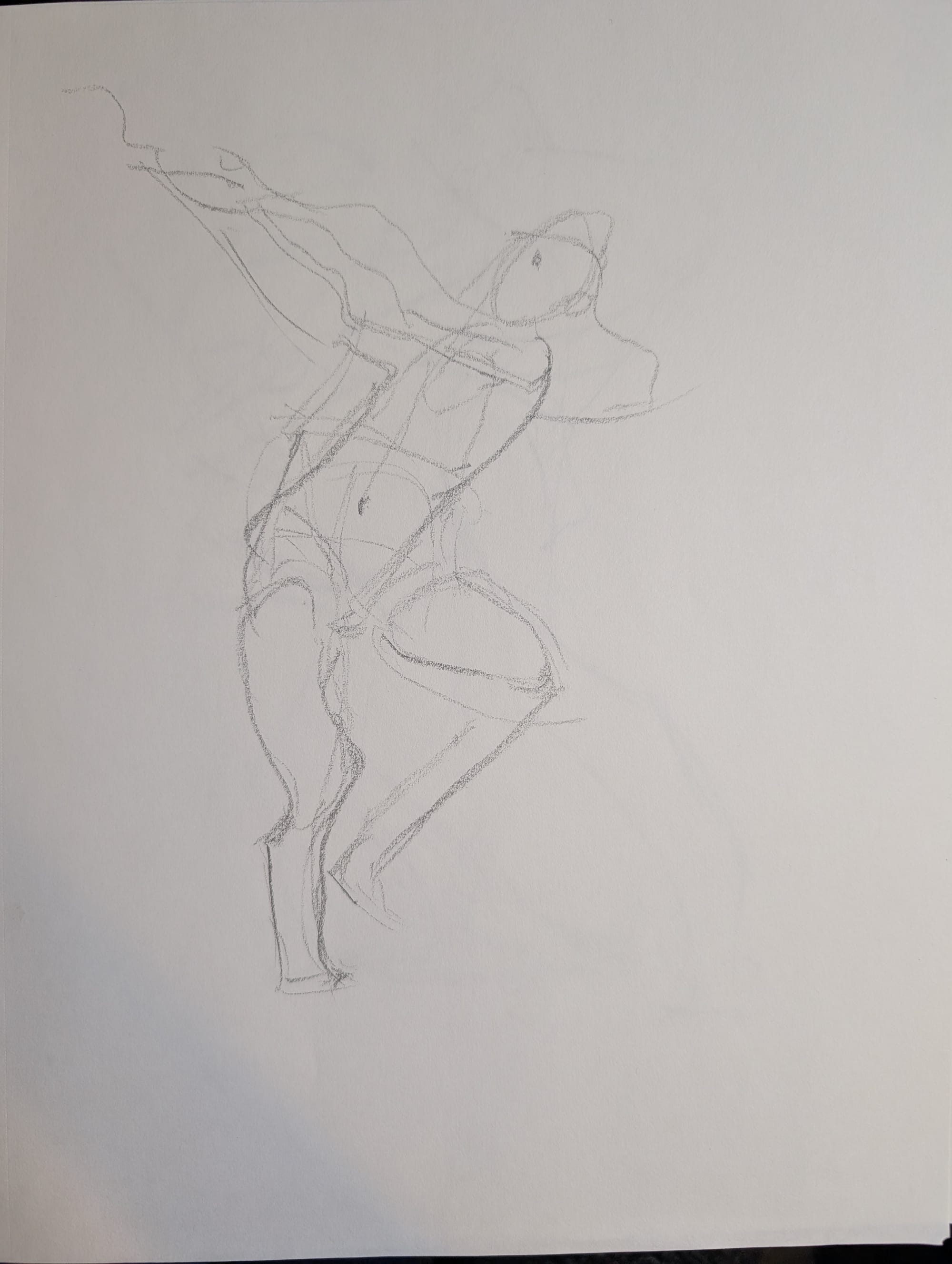 a pencil drawing of a swinging woman
