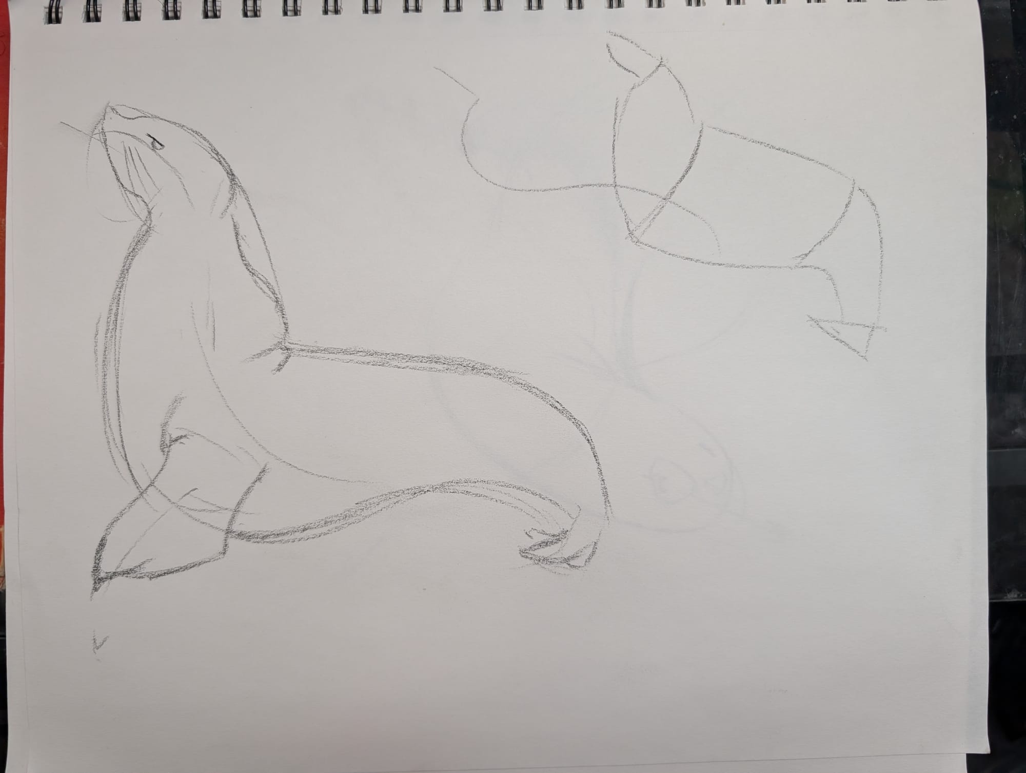 sketch of a seal