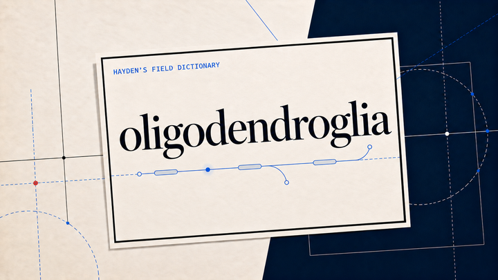 oligodendroglia