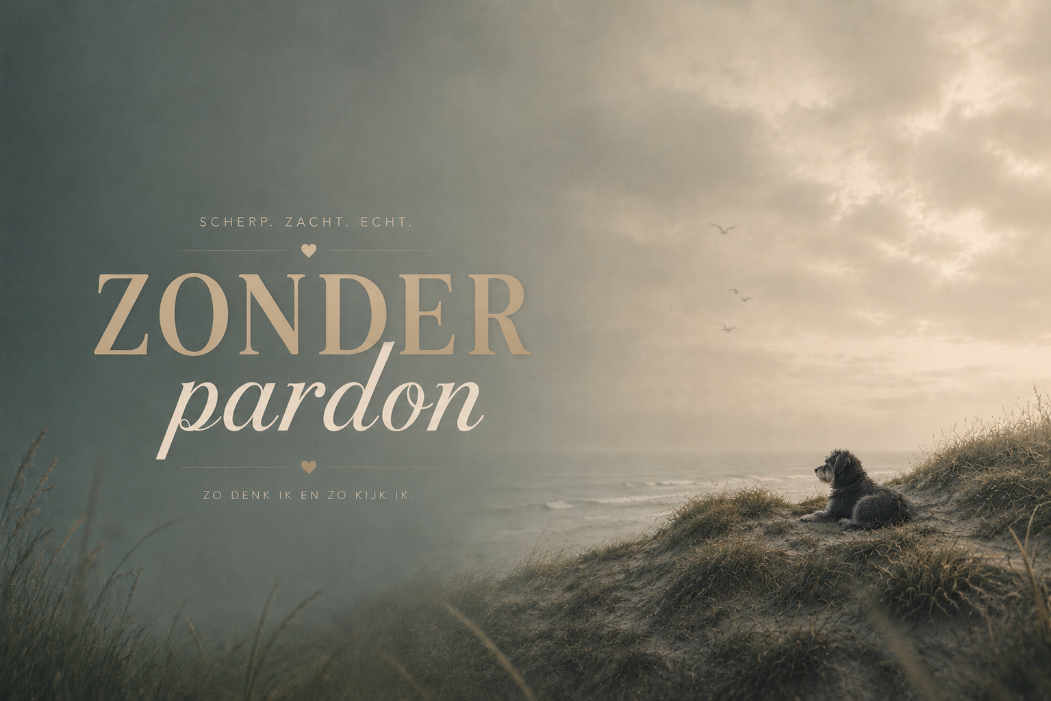 Zonder Pardon