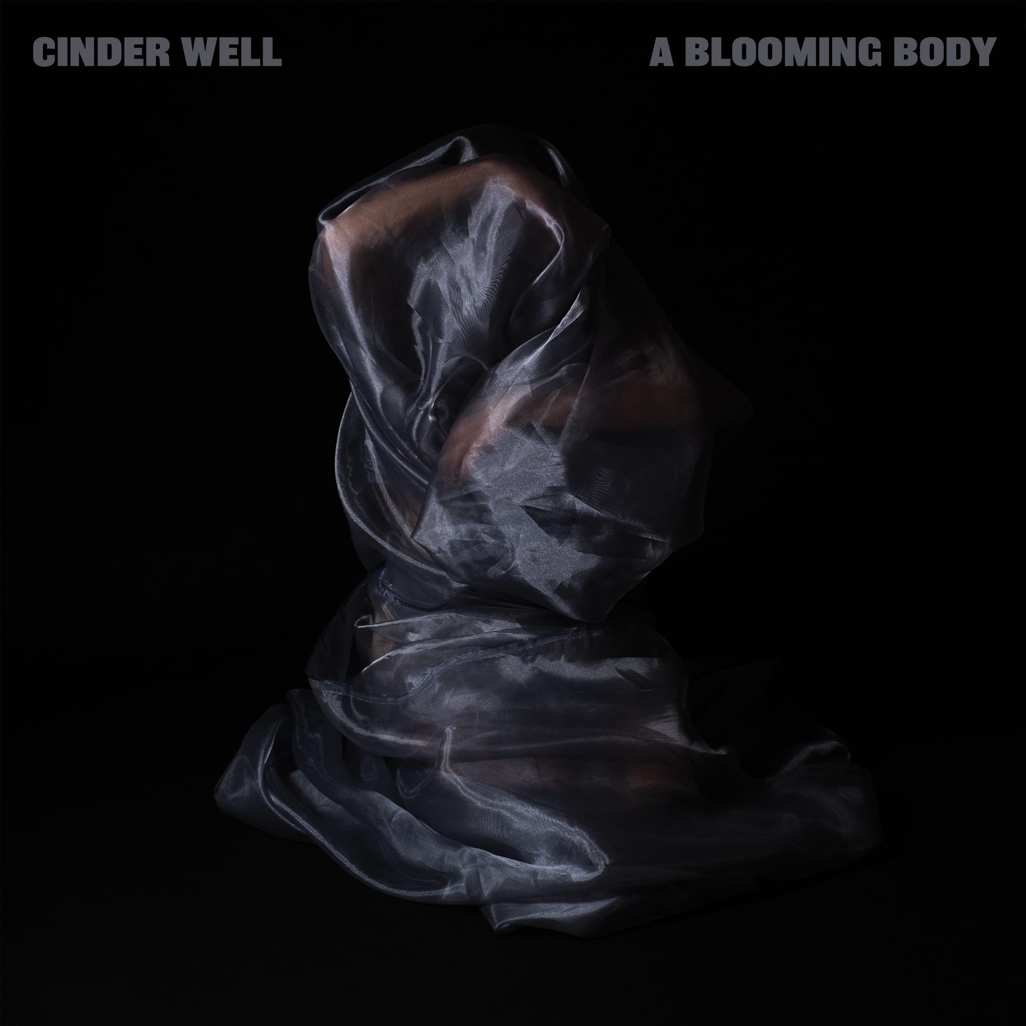 ALBUM REVIEW: Cinder Well’s Austere ‘A Blooming Body’ Finds Fascination in the Everyday