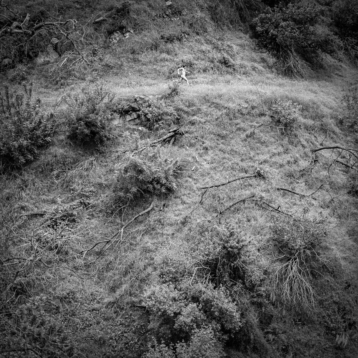 ALBUM REVIEW: Anna Tivel Explores Her Final Frontier on 'Animal Poem'