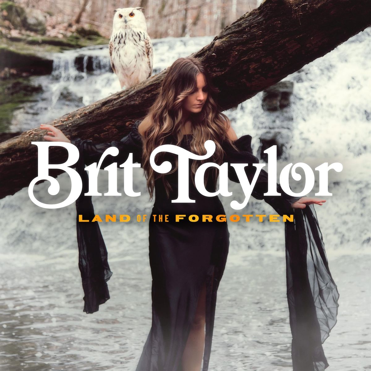ALBUM REVIEW: Brit Taylor's ‘Land of the Forgotten’ Is One Banger After Another