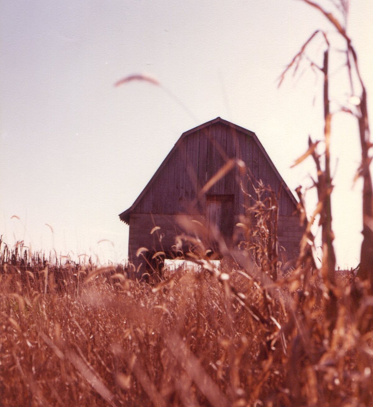 John Prine, A Beacon of Middle America