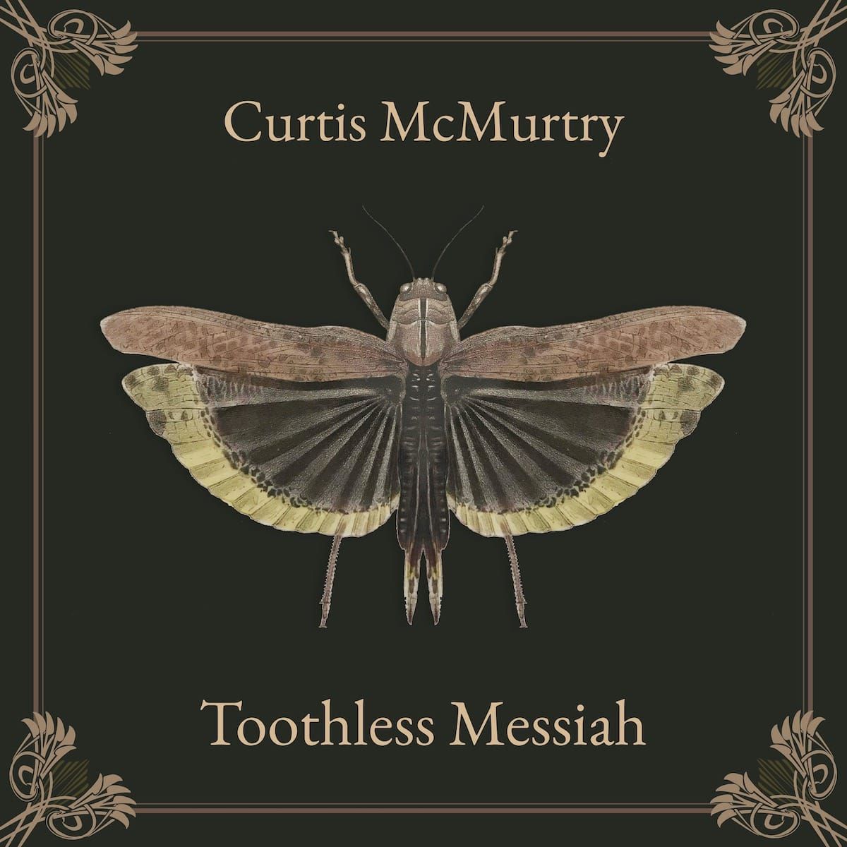 Curtis McMurtry Digs into the Darkness on ‘Toothless Messiah’