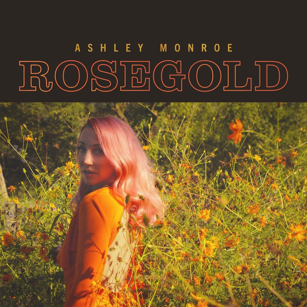 Ashley Monroe Paints with a Pop Palette on ‘Rosegold’